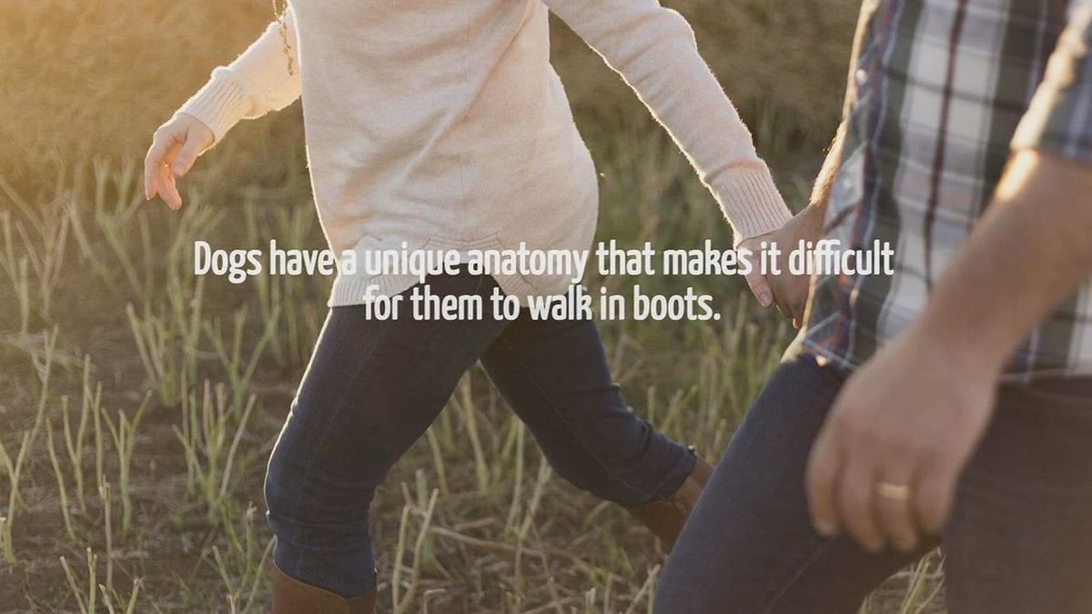 What Has 3 Feet But Cannot Walk Riddles